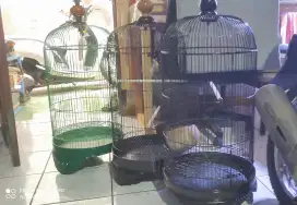 sangkar lovebird