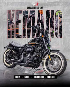 (BPKB & STNK) Harley Davidson Sportster 48 Nik 2011 V&H