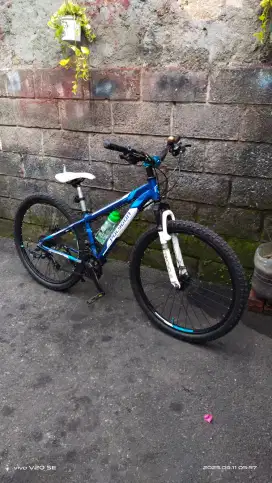 Sepeda MTB Polygon Thunder