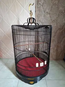 Kandang murai no2 SNI sangkar murai no 2 second SNI kandang murai no 2
