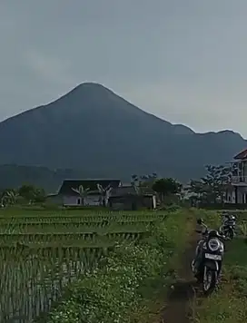DI JUAL TANAH KAWASAN TAMAN GANJARAN TRAWAS