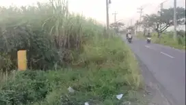 Jual Tanah Tanah di Wedoro Anom Menganti Gresik