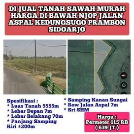 Di Jual Murah Tanah Nol Aspal Kedungsugo Prambon Sidoarjo Shm Lt 5555m