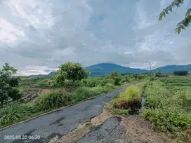 TANAH PEGUNUNGAN PACET MOJOKERTO VIEW OKE