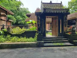 RUMAH BESAR ETNIK JOGLO TANAH LUAS SETENGAH HARGA DI MINGGIR