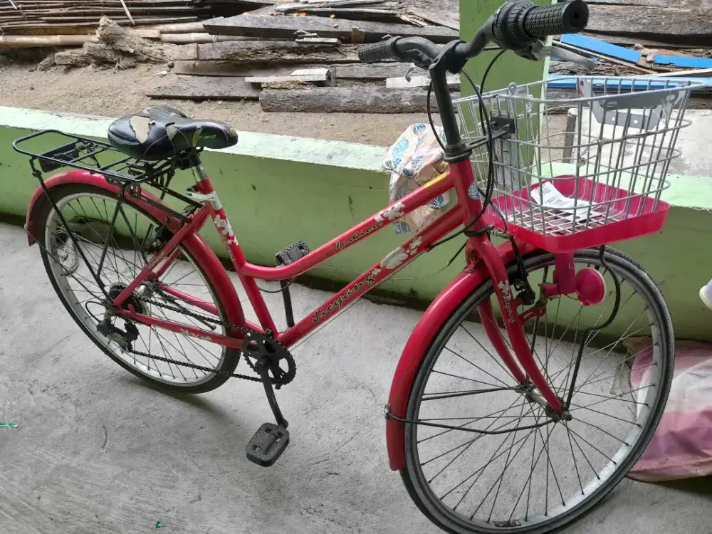 Sepeda keranjang dewasa