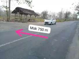 Tanah murah di Jogja barat sentolo kulonprogo Jogjakarta
