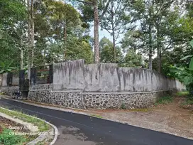 Kebun durian produktif sudah pagar keliling dijumantono