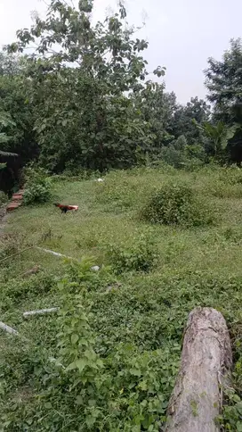 Tanah dijual, Investasii Berkah dan Multifungsi