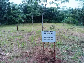 Dijual Tanah Cocok Investasi Di Bungursari, Purwakarta