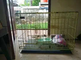 Kandang Kucing Baja Paws N Tails Seken