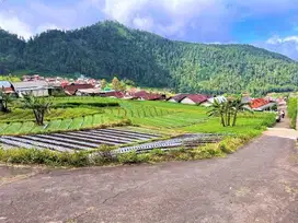 Tanah 206m² Strategis Bangun Villa Wisata Tawangmangu