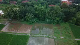 Dijual Tanah Sawah Produktif Luas 4270 m2 di Cirebon