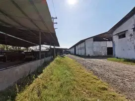 Dijual Murah Pabrik Dijual Jl. Bintoro Beji Kab Pasuruan