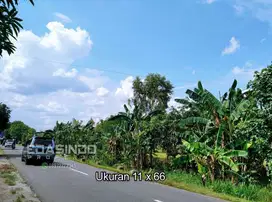 Tanah Ponorogo Babadan Murah