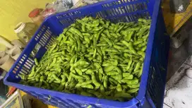 Kedelai Edamame