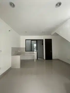 Cluster PIK 2 Milenial