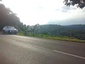 Dijual tanah di Cikidang