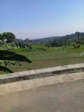 Sawah Produktif ,Akses Jln Mobil