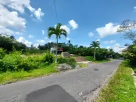 Jual tanah pekarangan murah di sleman