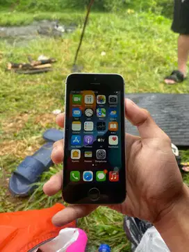 iPhone SE Gen 1 2016 32 GB Wifi Only