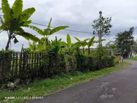 Tanah view laut glagah licin Banyuwangi