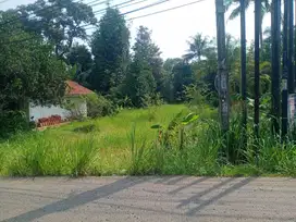TANAH DIJUAL MURAH DIARCO DEKAT PINGGIR JALAN UTAMA 1,5/ METER