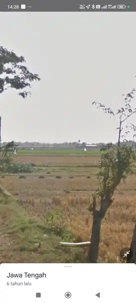 Tanah Sawah Dijual Di Embarkasi Haji ngemplak Sawahan Boyolali
