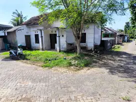 Rumah Dadapan dekat Banyuwangi Park