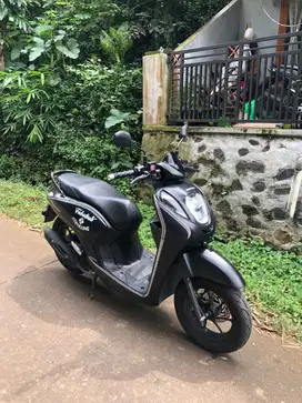 Honda Genio 2022