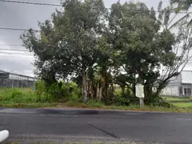 Dijual Tanah Luas 1.051 Meter Persegi Lokasi Jl. Palagan, Sleman, Yogyakarta