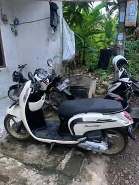 Scoopy 2016 for sale