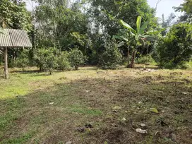 Di Jual Kebun ,Dekat Penduduk