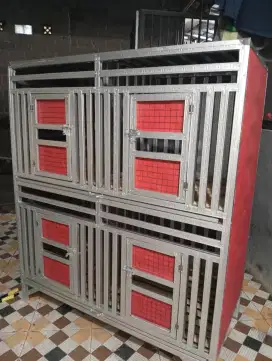 kandang ayam Bangkok dll
