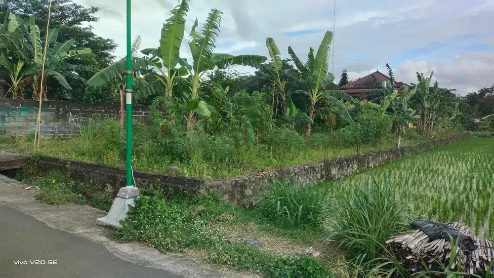 Dijual Cepat Tanah Jalan Damai
