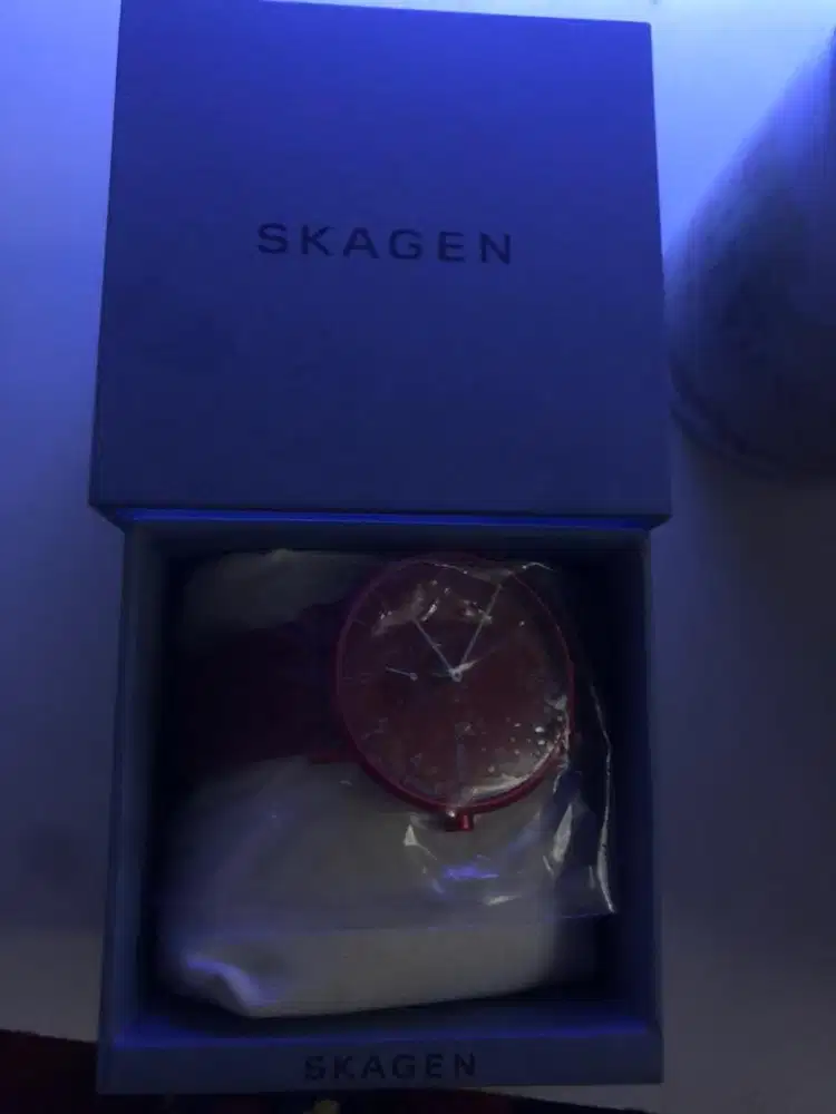 Jual jam skagen