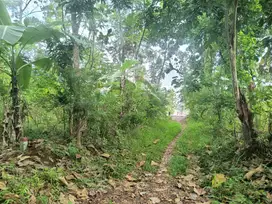 Dijual Tanah di Tembalang