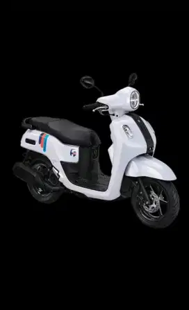 Fazzio dp 300 ribu