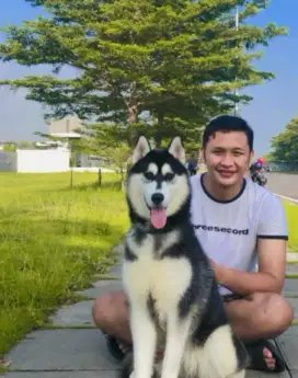 Pelatihan anjing Basic