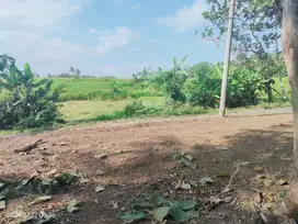 Tanah dijual di Sleman barat, pekarangan vuew sawah estetik
