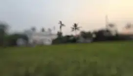 CESSIE KHUSUS INVESTOR Tanah Komersil Cocok Untuk Perumahan, Tangerang