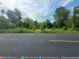 DIJUAL CEPAT TANAH SANGAT STRATEGIS DAERAH TATELI, HARGA SANGAT MURAH