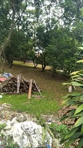Menarik.tanah untuk cluster menengah atas atau kos kontrakan di cinere