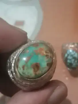 PIRUS PeRsie warna siang malam