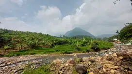 Di jual tanah kavling shm di kawasan puncak 2 bogor