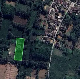 TANAH MURAH WAJAK MALANG