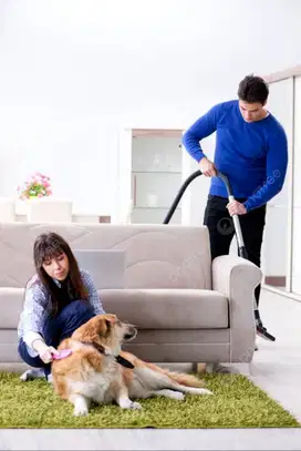 Cleaning Service Rangkap Angkat Barang - Ada Anjing Peliharaan