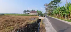 Jual tanah murah pakis sukoanyar nol jalan aspal jalur aktif