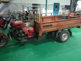 Motor Viar roda 3 th2021 long