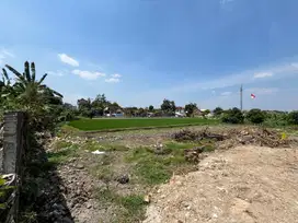 View Sawah Tanah di Nogotirto 2 Menit Jl Kabupaten